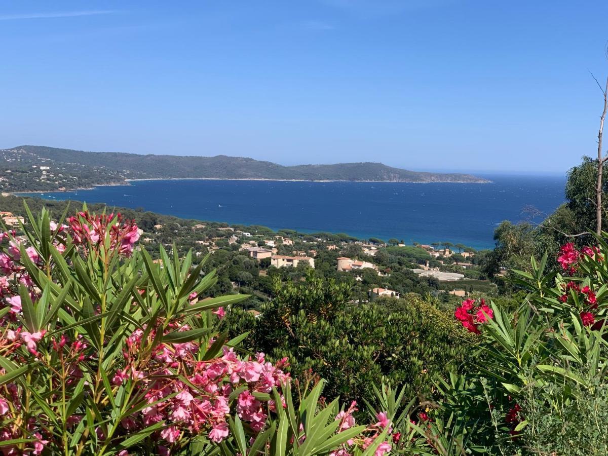 Villa Cacharelle Vue Mer Piscine 滨海卡瓦莱尔 外观 照片