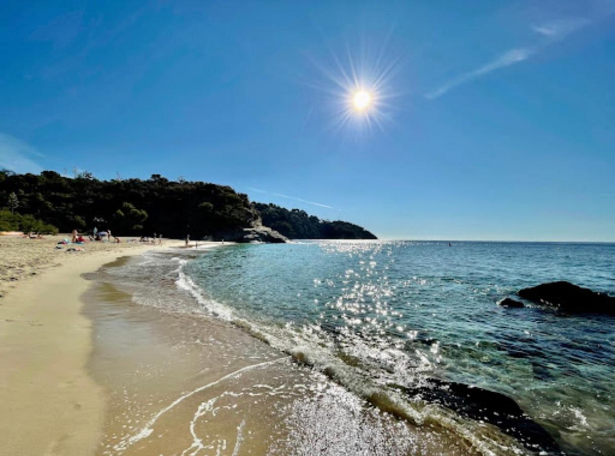 Villa Cacharelle Vue Mer Piscine 滨海卡瓦莱尔 外观 照片